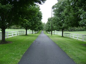 Entrance Driveway from Route 40 Alternate - Road to Heaven!