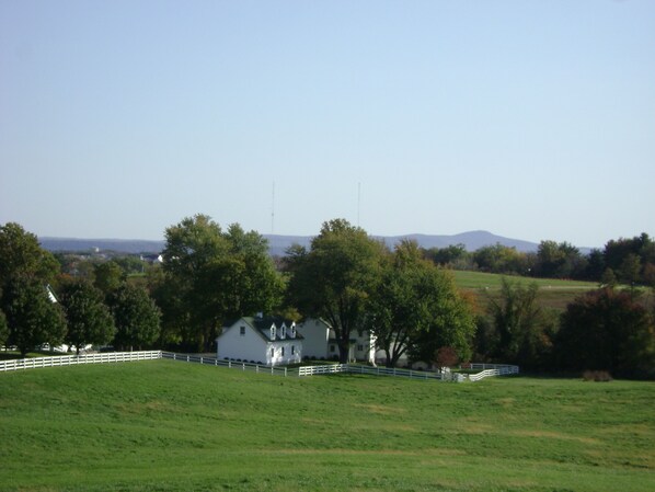 Our charming 25 acre farm!