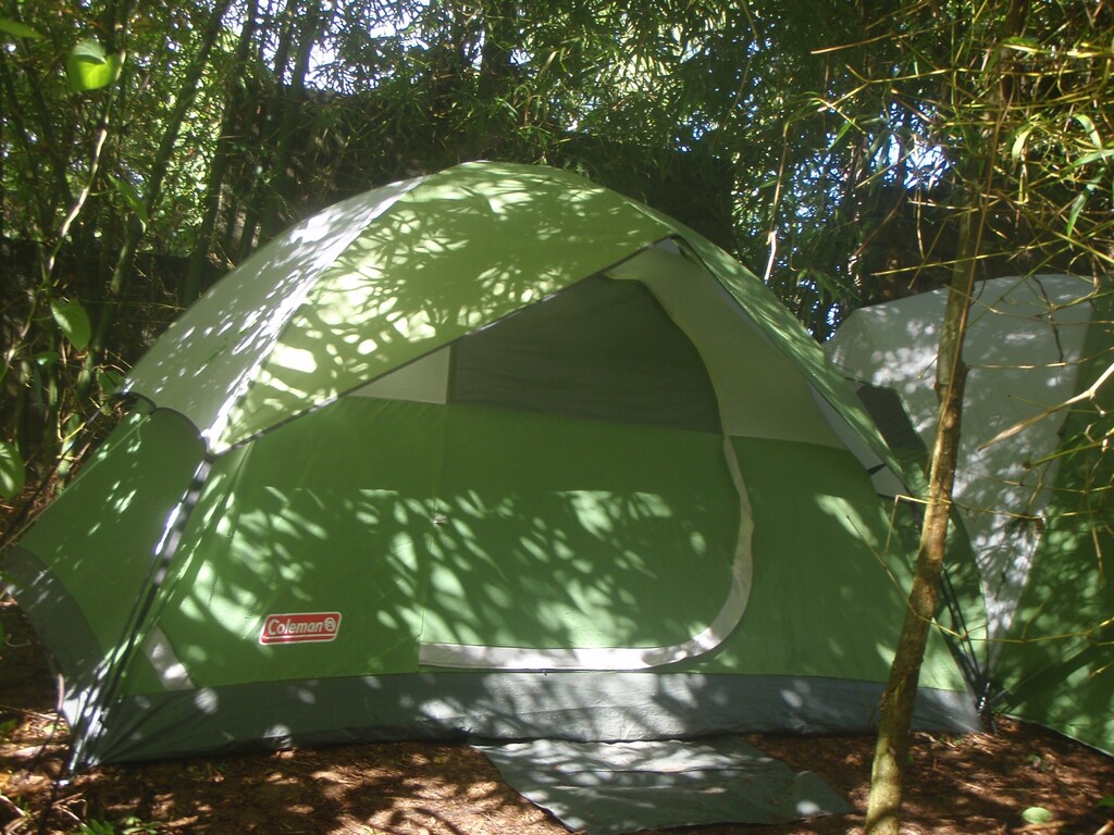 Camping Securely In Jurassic Park 3 Adults Family Las Terrenas