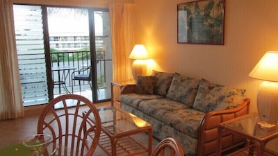 $139 HIGH SEASON SPECIAL!!!! Beautiful Condo with ocean view.  