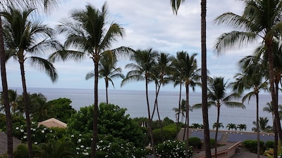 $139 HIGH SEASON SPECIAL!!!! Beautiful Condo with ocean view.  