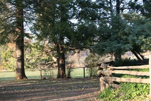 Beautiful surrounding land with plenty of room for vehicles/trailer