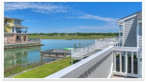 Awesome View of Marsh, Birds and other Wildlife