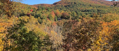 October 2019 view from back deck.