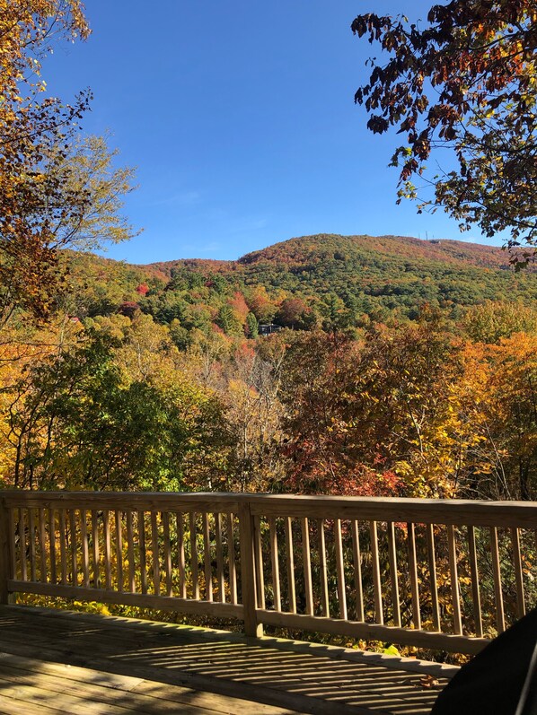 October 2019 view from back deck.