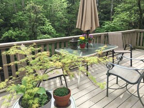 Spacious back deck overlooking large creek.  Gas grill is ready for fun!