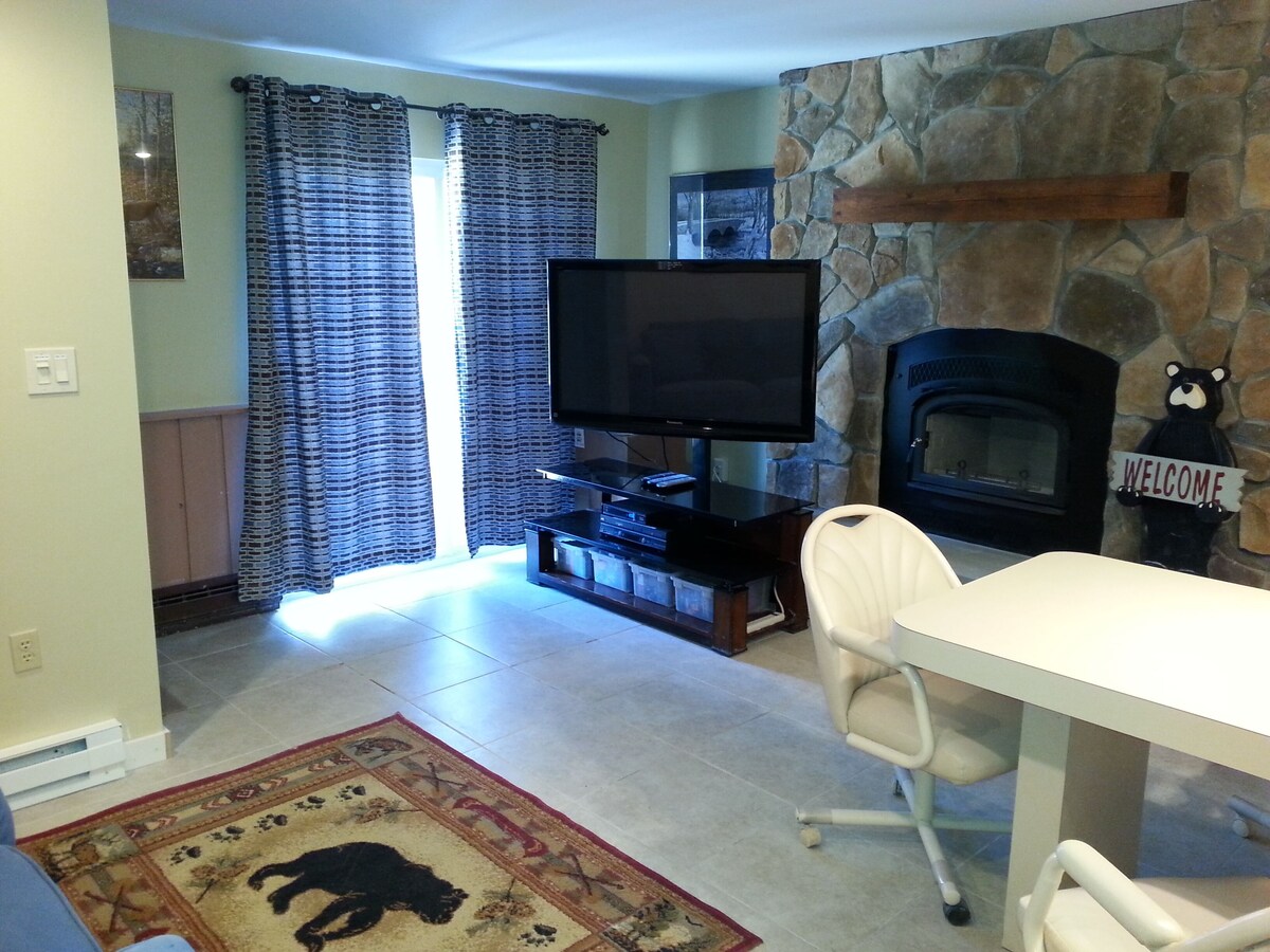 Catskill Mountains Vacation Condo at Scribner Hollow with great mountain views