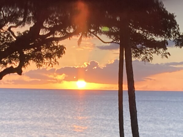 Sunsets from the lanai are awesome.