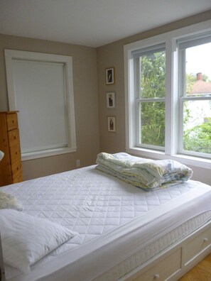Master bedroom (downstairs)