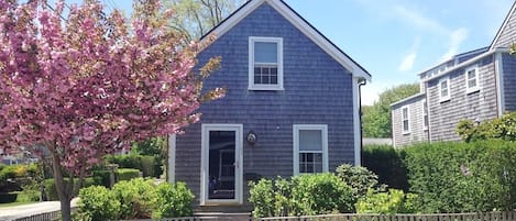 Beautiful cottage built in 2009 fully enclosed with fence, hedge and hydrangeas