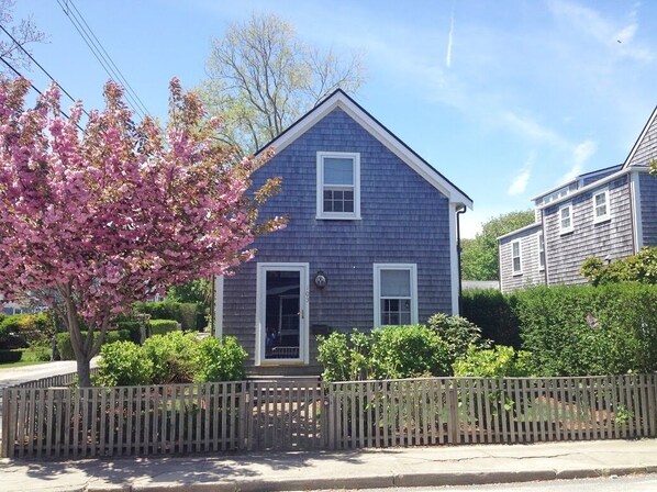 Beautiful cottage built in 2009 fully enclosed with fence, hedge and hydrangeas