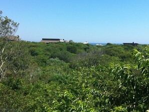 View from our kitchen, dining room and deck.