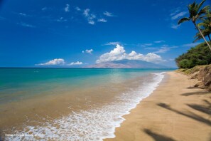 Beautiful Beachfront Property