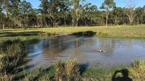 12 dams on 150 acres