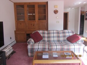 Ground level family living area