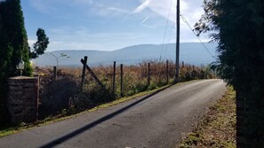 private lane to cottage