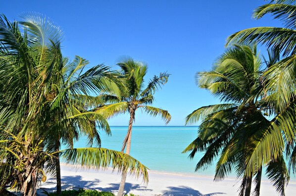 Gorgeous beachfront location.