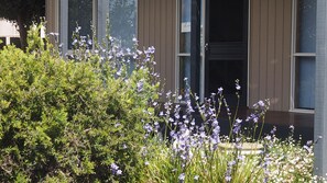 Garden to front door