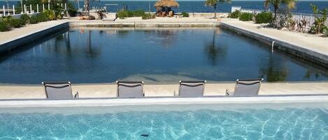 New Infinity pool, saltwater Lagoon directly on the gulf