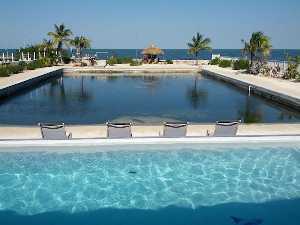 New Infinity pool, saltwater Lagoon directly on the gulf