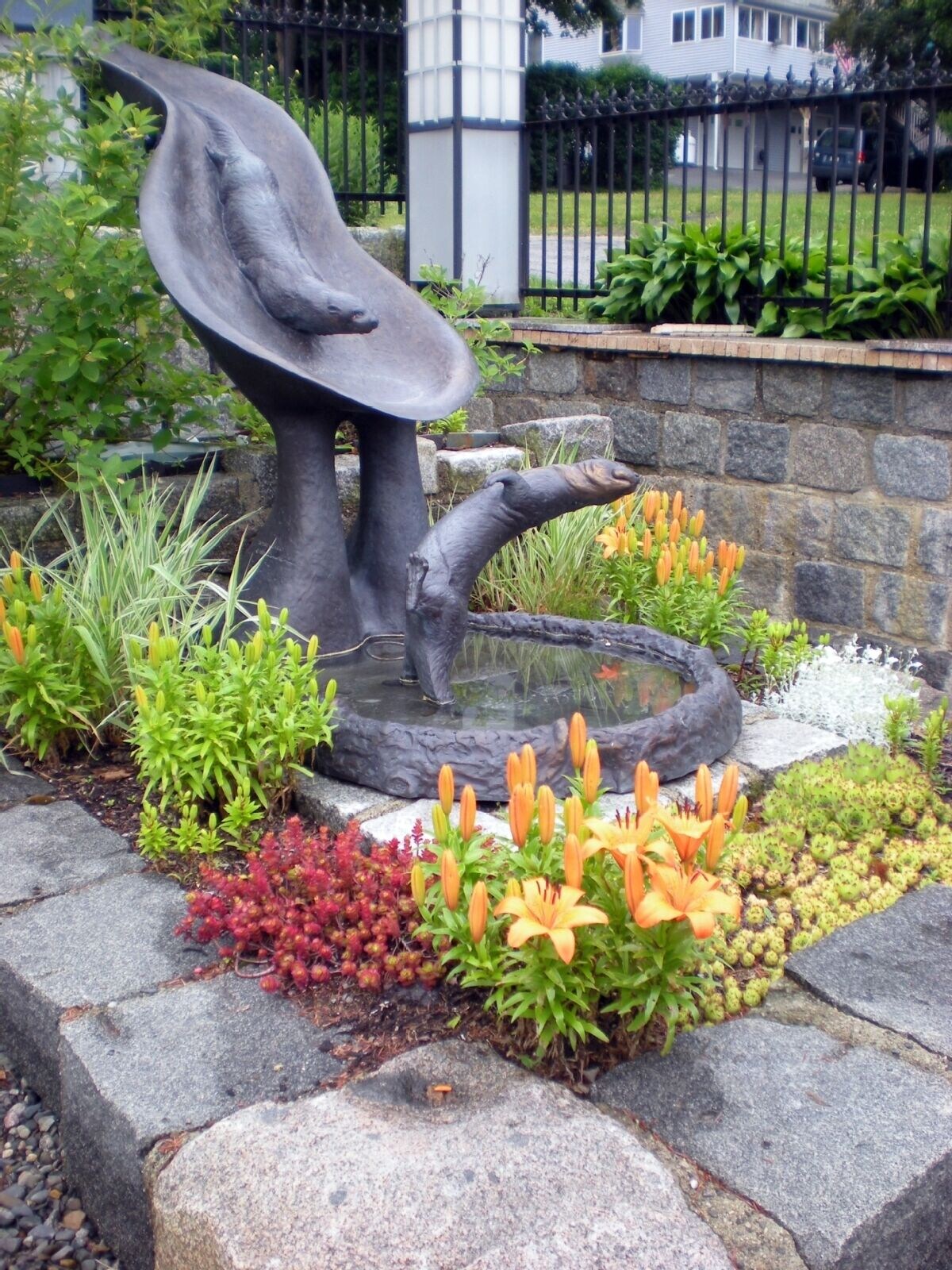 Main Image