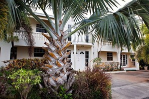 A beautiful bismarck palm sits majestically at the front of the property.