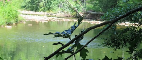 The River out back!