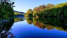 Fall foliage in all its splendid glory 