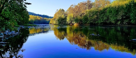 Fall foliage in all its splendid glory 