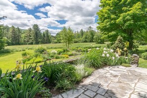 Back patio