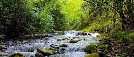 Laurelwood Falls Cabin-Waterfall View