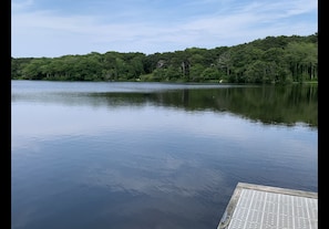 Pond on a peaceful calm day...great for kayaking and fishing too