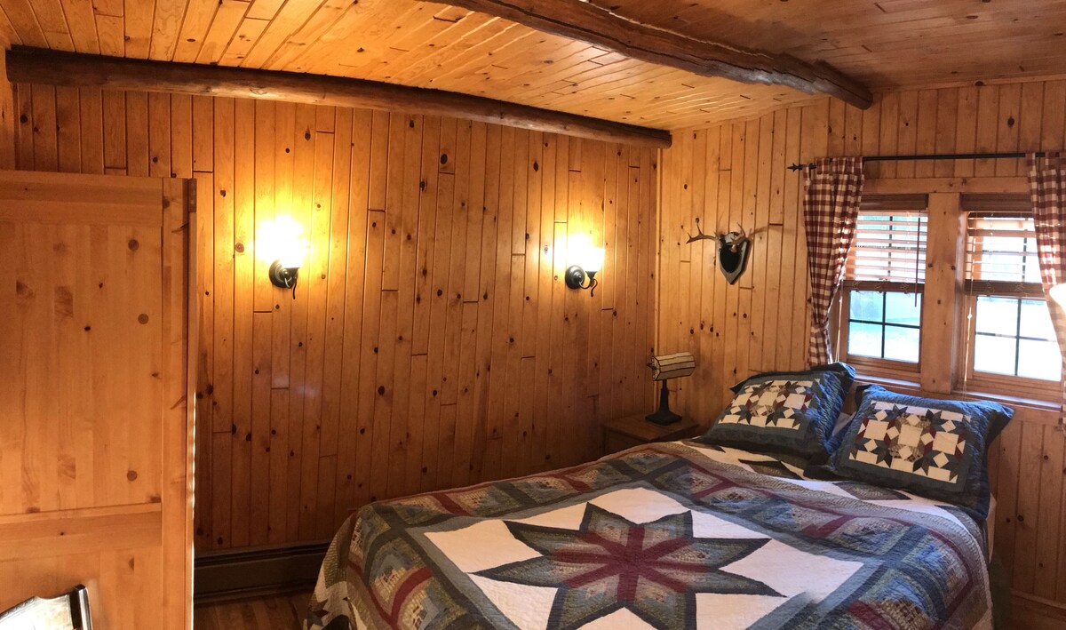 Water Front, Boating, Fishing, Cabin on Burt Lake Michigan-AC installed May 2022
