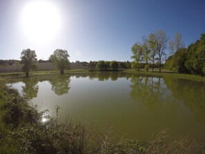 Cotinet lake