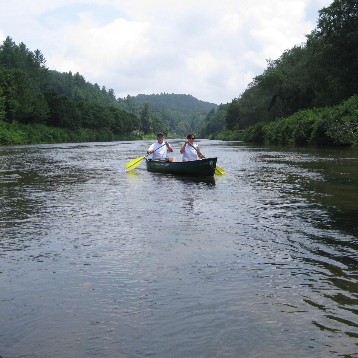Main Image