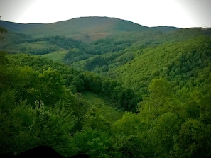 Irish Green from back deck at Lily Ridge.