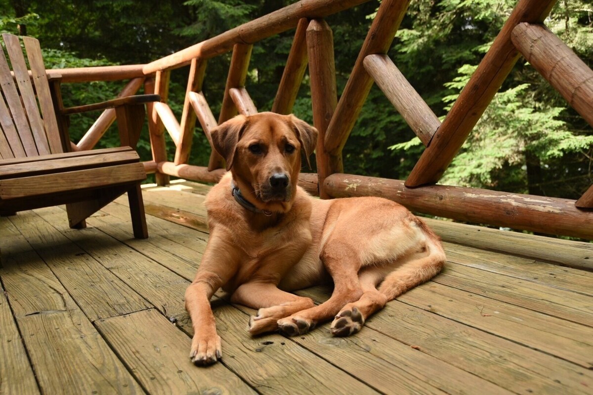 Secluded Adirondack Lakefront Retreat- Running Deer Lodge
