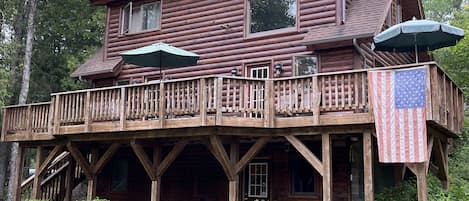 View of Cabin from backyard.