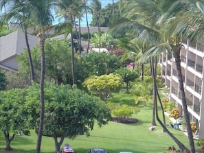 View of the grounds from the lanai