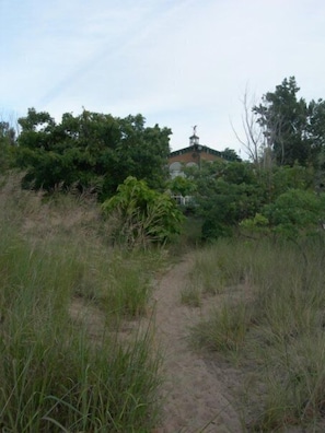  Path From The Beach Back To The 
 House.