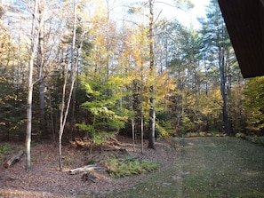 back yard
