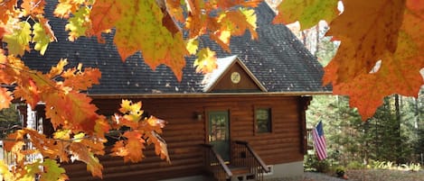 Fall front door