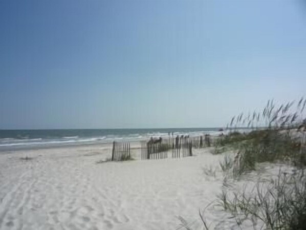 Strand