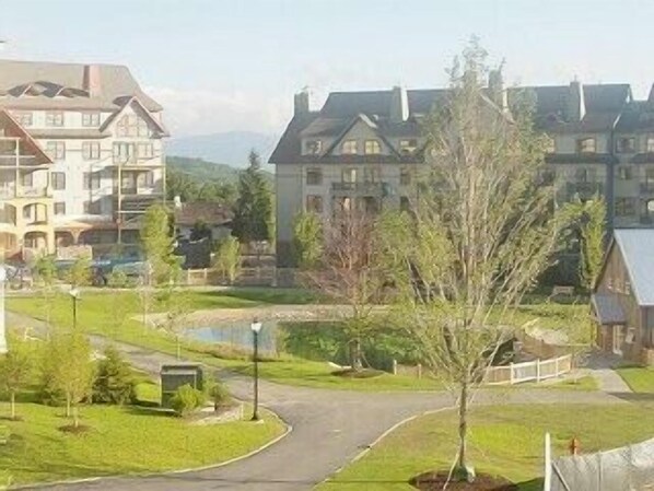 Commons, with skating pond