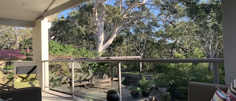 Gorgeous bush view from the covered back balcony with BBQ and  lounge setting