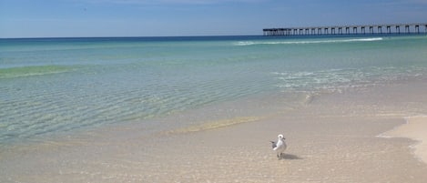 Spiaggia