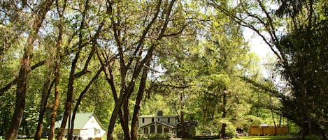 The Riverlodge house, its barn, and lots of room to explore!