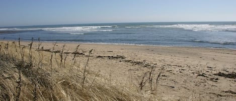 Our Sandy Beach at the end of the Yard