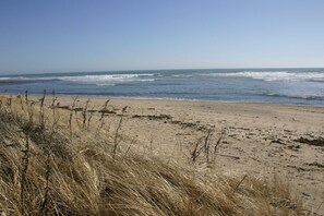Our Sandy Beach at the end of the Yard