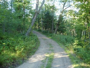 Private drive to wooded lakefront property